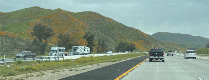 Walker Canyon Poppy Fields is one of Outside LA.