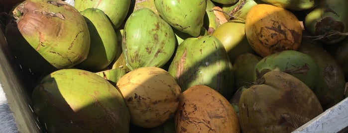 Redland Market Square Farmers Market is one of Must-visit Food in Miami.