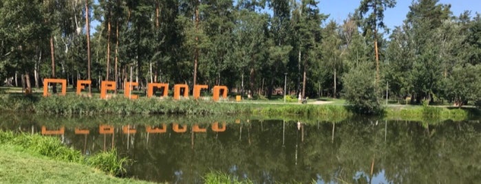 Березовая роща парк Победа is one of прогулки и отдых.