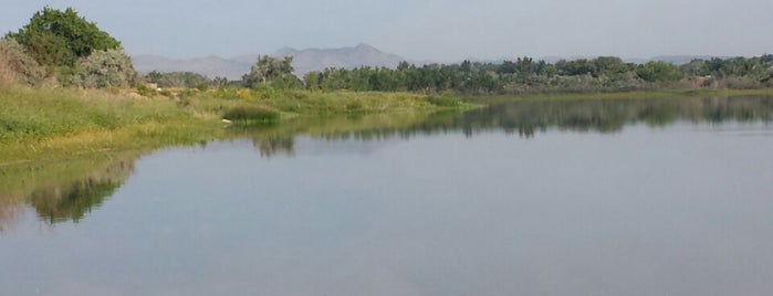 Richards Lake Park is one of Fort Collins Parks.