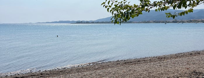 Gribovo Beach is one of Ναυπακτος.