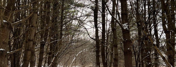 Appalachian Trail is one of Vermont1.