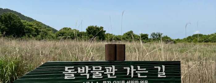 Jeju Stone Park is one of 제주도.
