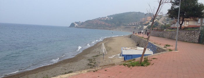 Altınkum Plajı is one of Aaaa Bursa'da deniz mi var!! (:.
