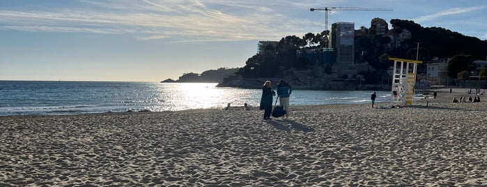 Platja des Pouet / Platja Palmira is one of Playas de Mallorca.