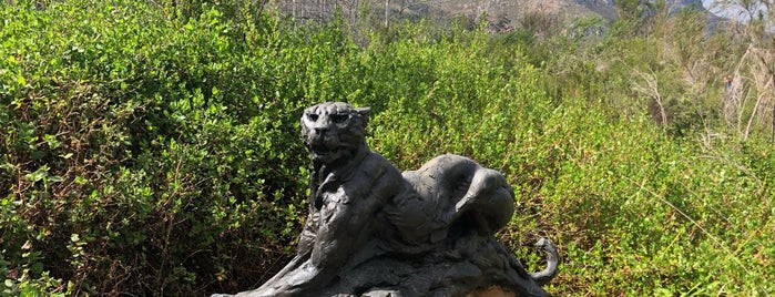 Dylan Lewis Sculpture Garden is one of Capetown.