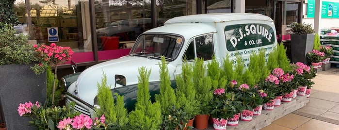 Squires Garden Centre is one of The 15 Best Places for Parsley in London.