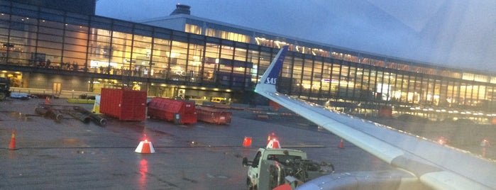 (SK) SAS - Scandinavian Airlines 527 is one of Airport Flights.