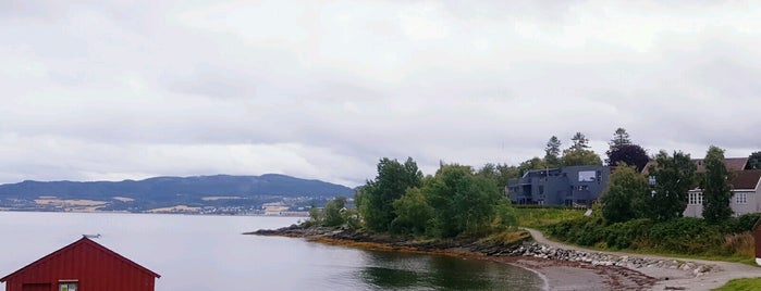 Ringvebukta is one of Trondheim.