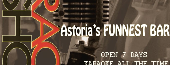 Karaoke Shout is one of USA NYC QNS Astoria.
