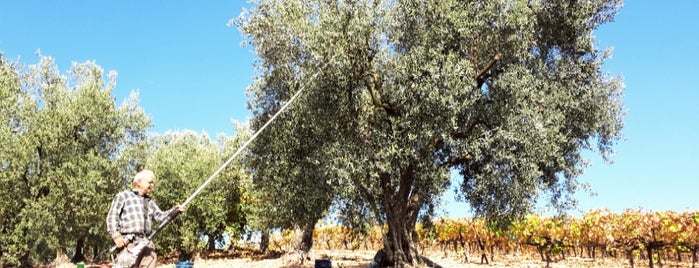 Karabalcik koyu is one of สถานที่ที่ Dr.Gökhan ถูกใจ.