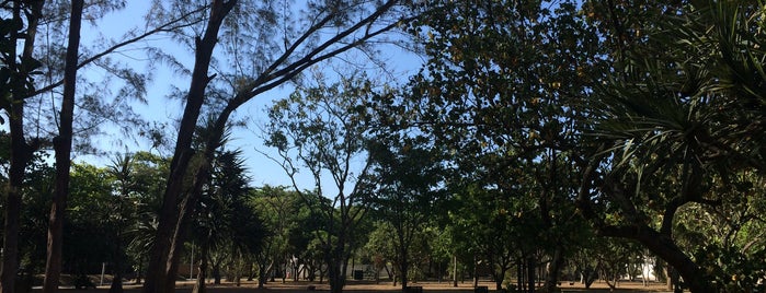 Bosque Novo Leblon is one of Barra da Tijuca.