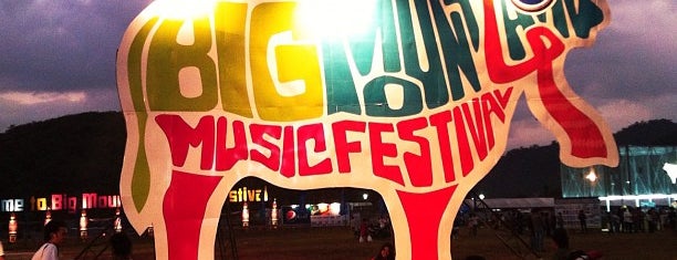 Big Mountain Music Festival is one of Travels.