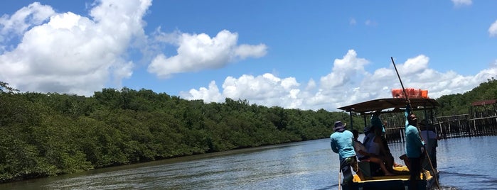 Associação Peixe-Boi is one of สถานที่ที่ Alexandre ถูกใจ.