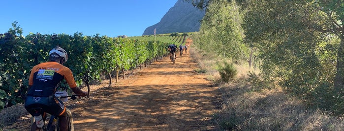 Dornier Wines is one of Franschoek.