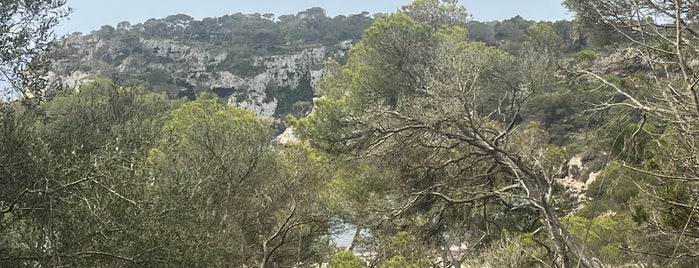 Cala Macarella is one of Menorca 48 hours guide.