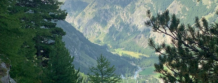 Parco Nazionale del Gran Paradiso is one of GO 2.