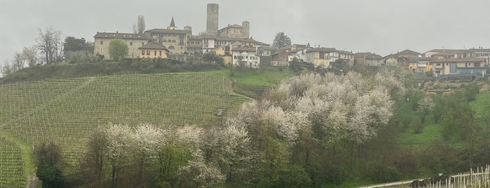 Bottega del Vino Fontanafredda is one of Piemonte2019.