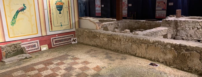 Newport Roman Villa is one of IoW Family Things To Do.