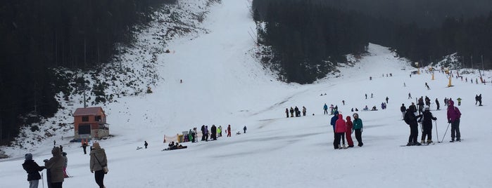 Ски-зона Банско (Bansko Ski Zone) is one of Ski resorts visited.
