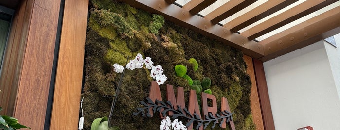 Amara At Paraiso is one of Romantic miami place.