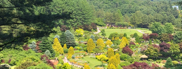 The Garden of Morning Calm is one of South Korea: Gapyeong.