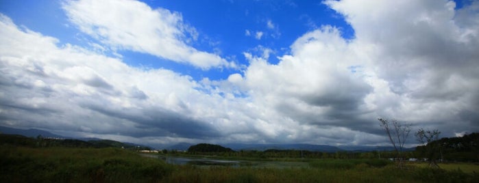 Gyeongpo Wetland is one of TDL.