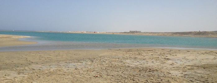 Wild Lagoon is one of Marsa Alam .. The Pure Nature.