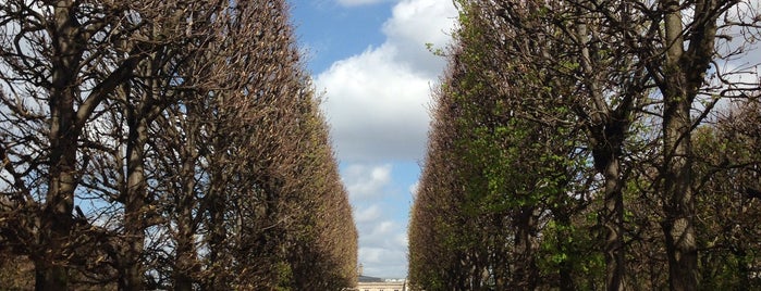 Jardin du Luxembourg is one of My Paris.