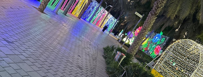 Dubai Garden Glow is one of My Dubai Favorite List.