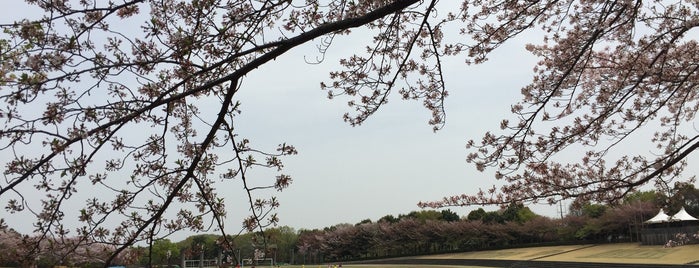 稲城中央公園 is one of Tempat yang Disukai 🍩.
