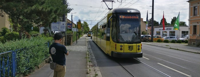H Schloß Wackerbarth is one of Dresden tram stops (N-Z).