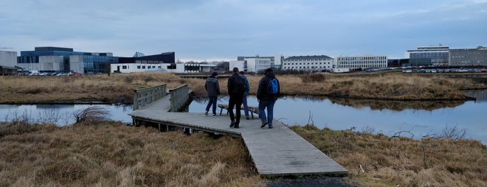 Vatnsmyri is one of Iceland.