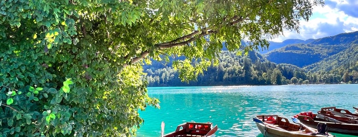 Boats Lake Bled is one of Slovenia 🇸🇮.