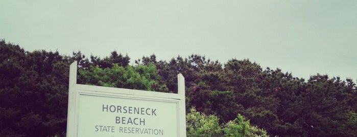 Horseneck Beach is one of Boston/New England to-do.