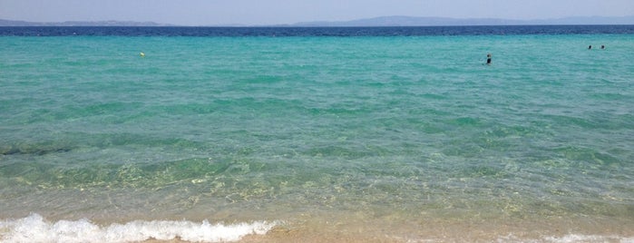 Livrochio Beach is one of 🌞🌊Chalkidiki-->to The Beach 🐋🐬🐟🐠🐡🦀.