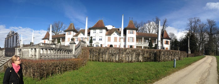 Schloss Waldegg is one of Swiss Museum Pass.
