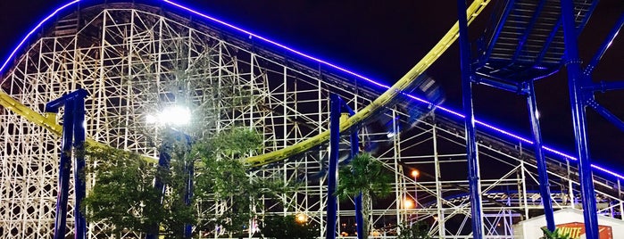 White Lightning is one of Wooden Roller Coasters.