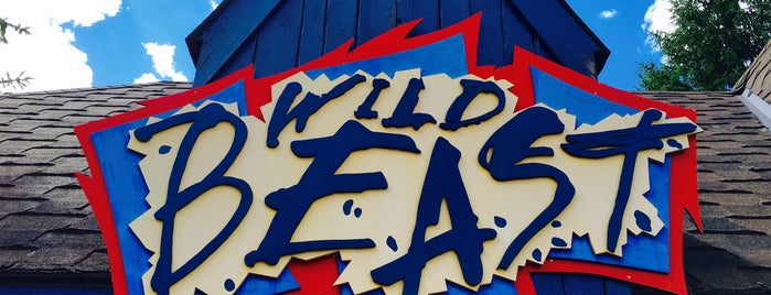 Wild Beast is one of ROLLER COASTERS 2.