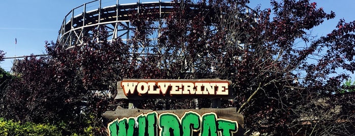 Wolverine Wildcat is one of ROLLER COASTERS 2.