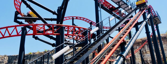 Pandemonium is one of ROLLER COASTERS.