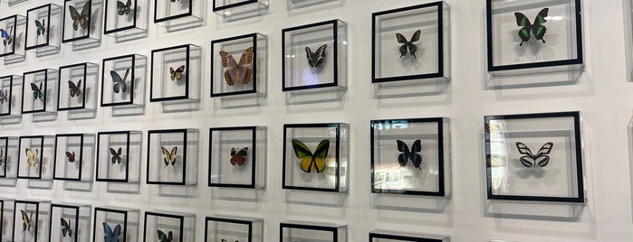 Key West Butterfly & Nature Conservatory is one of Nik 님이 좋아한 장소.