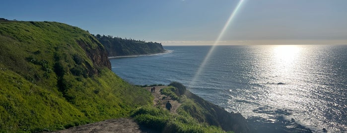 Bluff Cove is one of Parks - WalkJogRun Trails - Bike Path.