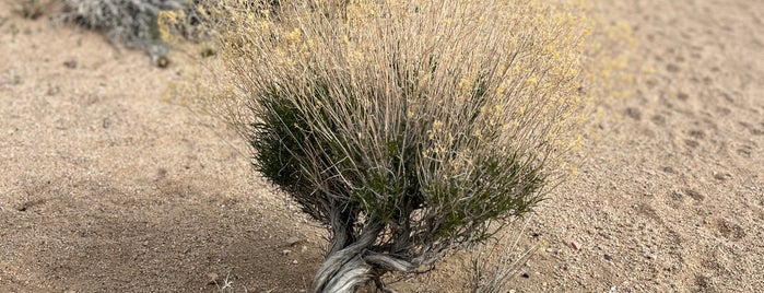 Red Rock Canyon State Park is one of Golden Poppy Annual Pass.