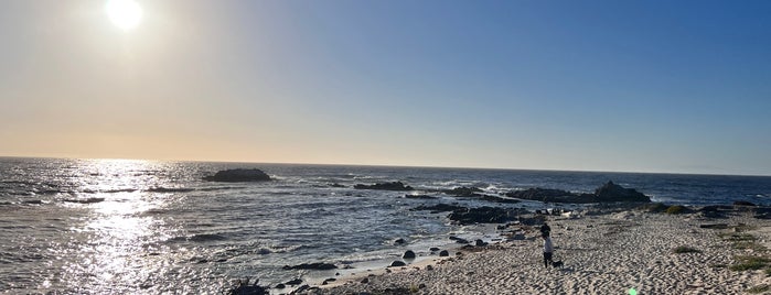 Asilomar State Marine Reserve is one of My travels.