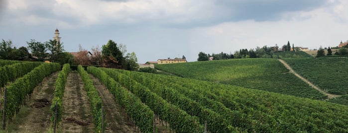 Villa Sparina is one of Piemonte.