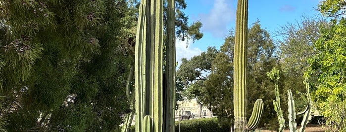 Argotti Botanic Gardens & Resource Centre is one of Malta.