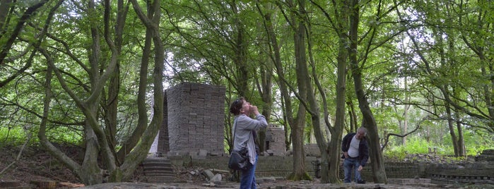Ecokathedraal is one of Ruinen.