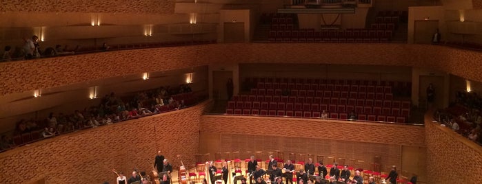 Mariinsky Theatre Concert Hall is one of Ksenia'nın Beğendiği Mekanlar.