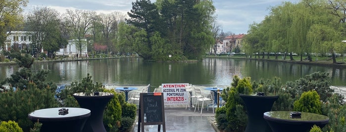 Chios Social Lounge is one of Great restaurants & cafes in Cluj.